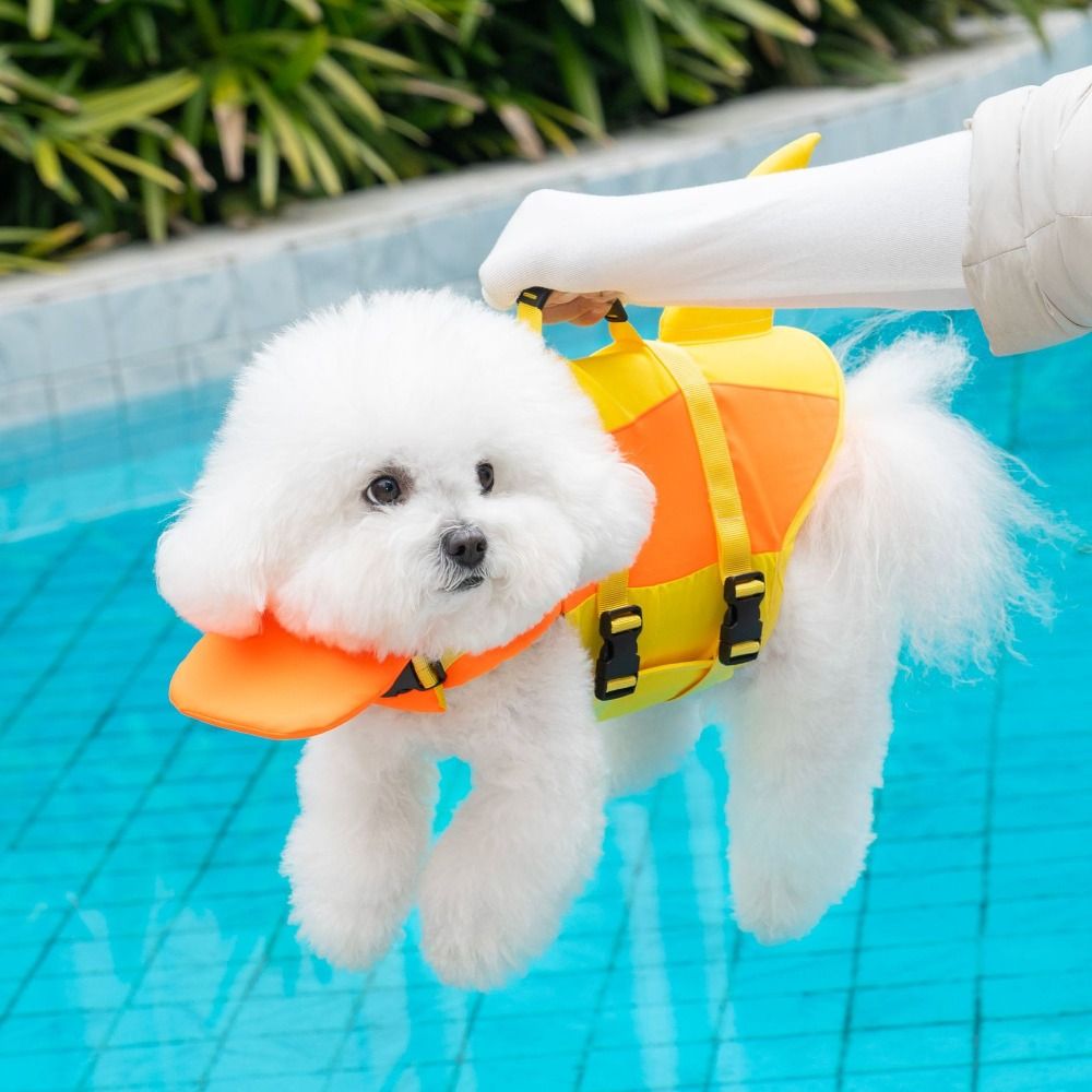 상어 모양 강아지 구명조끼 방수 내구성 강한 강아지 수 - Life Jacket 리뷰 및 가격